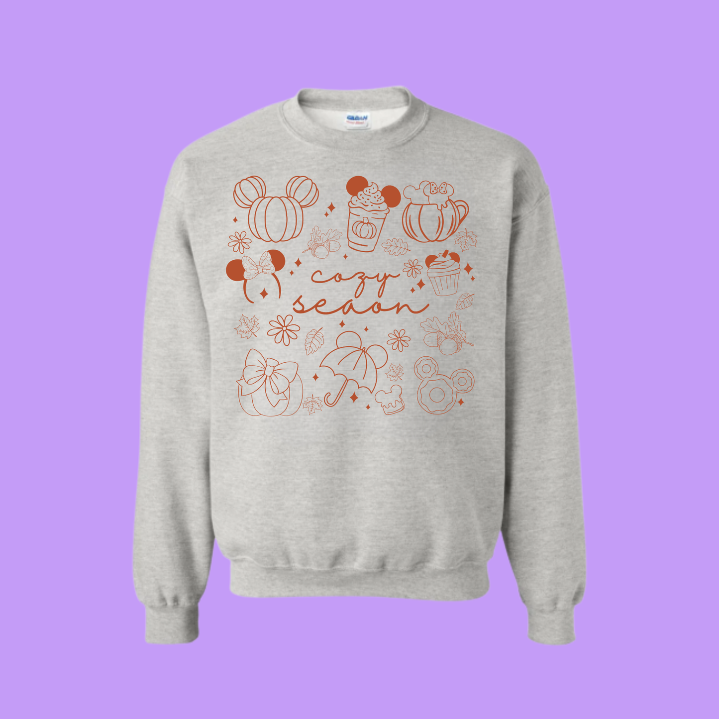 DISNEY SEASON SWEATSHIRT / HOODIE