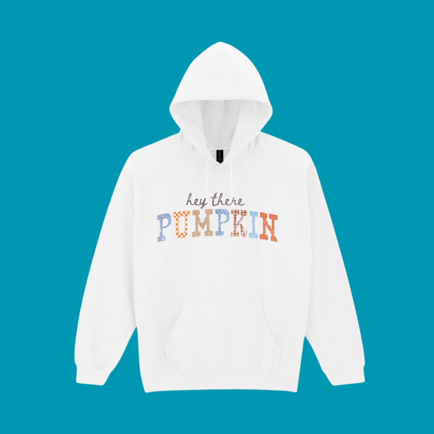 HEY PUMPKIN SWEATSHIRT / HOODIE