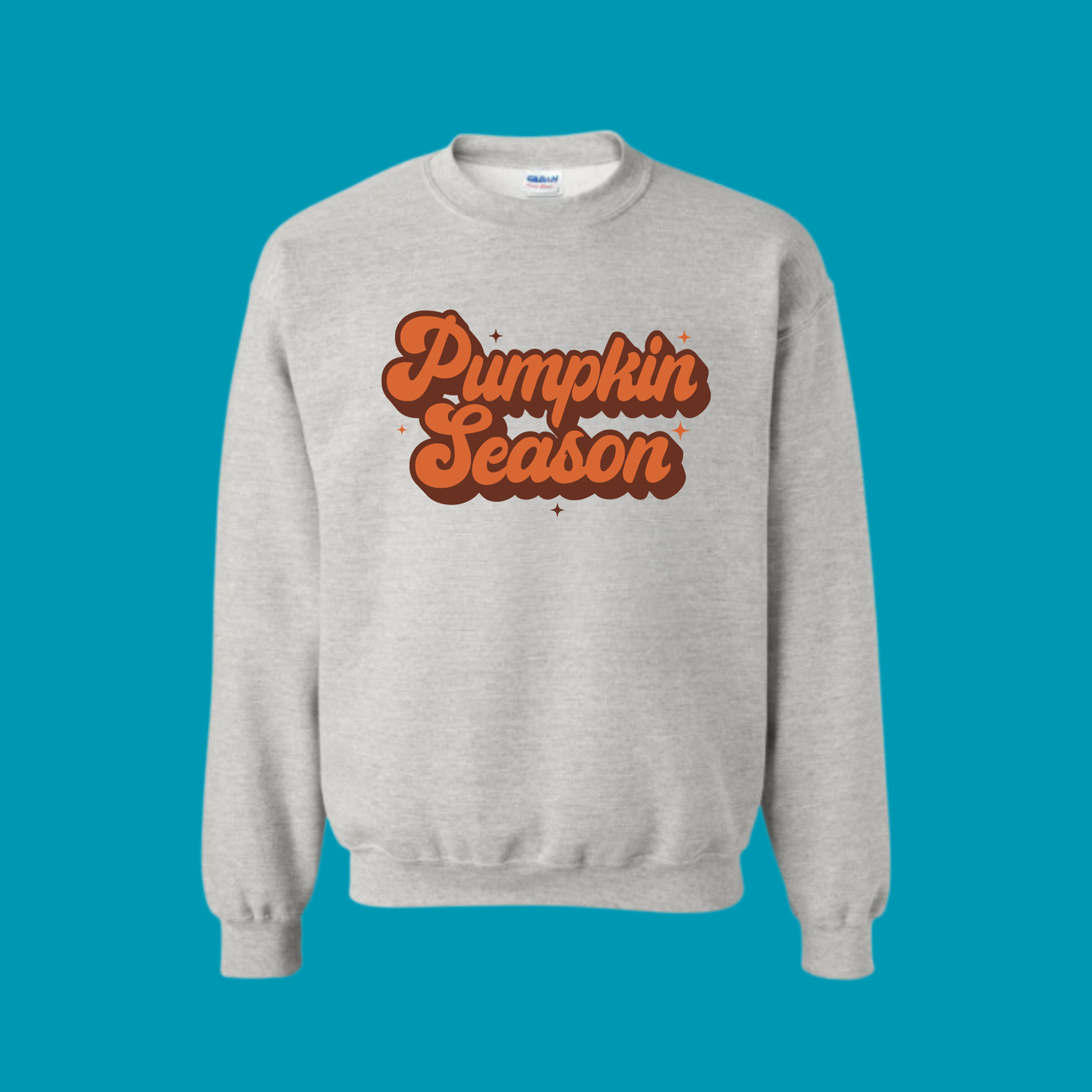 PUMPKIN SEASON SWEATSHIRT / HOODIE