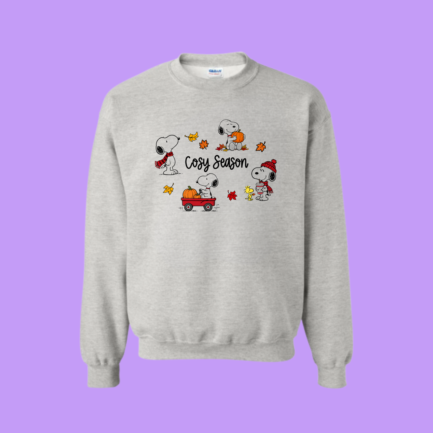 COSY SEASON SWEATSHIRT / HOODIE